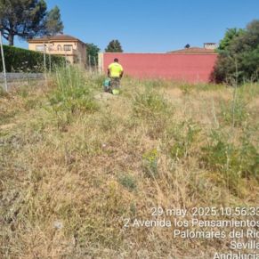 502438400_1132420545582257_1736059552445034755_n