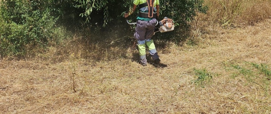 502533057_1132420708915574_4044036293203978930_n