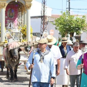 503868067_1137988158358829_4583249074327641135_n