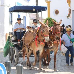 503992473_1137988321692146_5934304211391289784_n