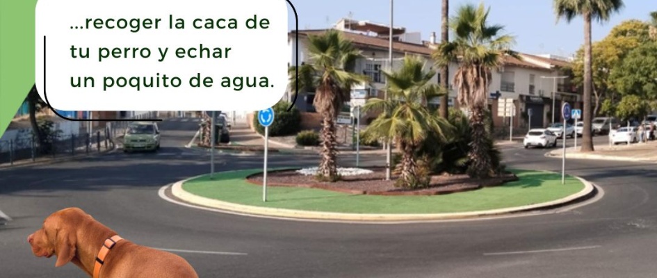 518375321_1171194995038145_4069344602798150528_n