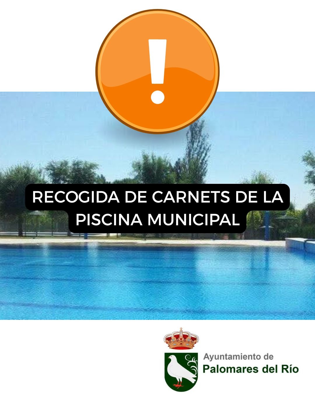 518664470_1167787115378933_7897077159017425493_n