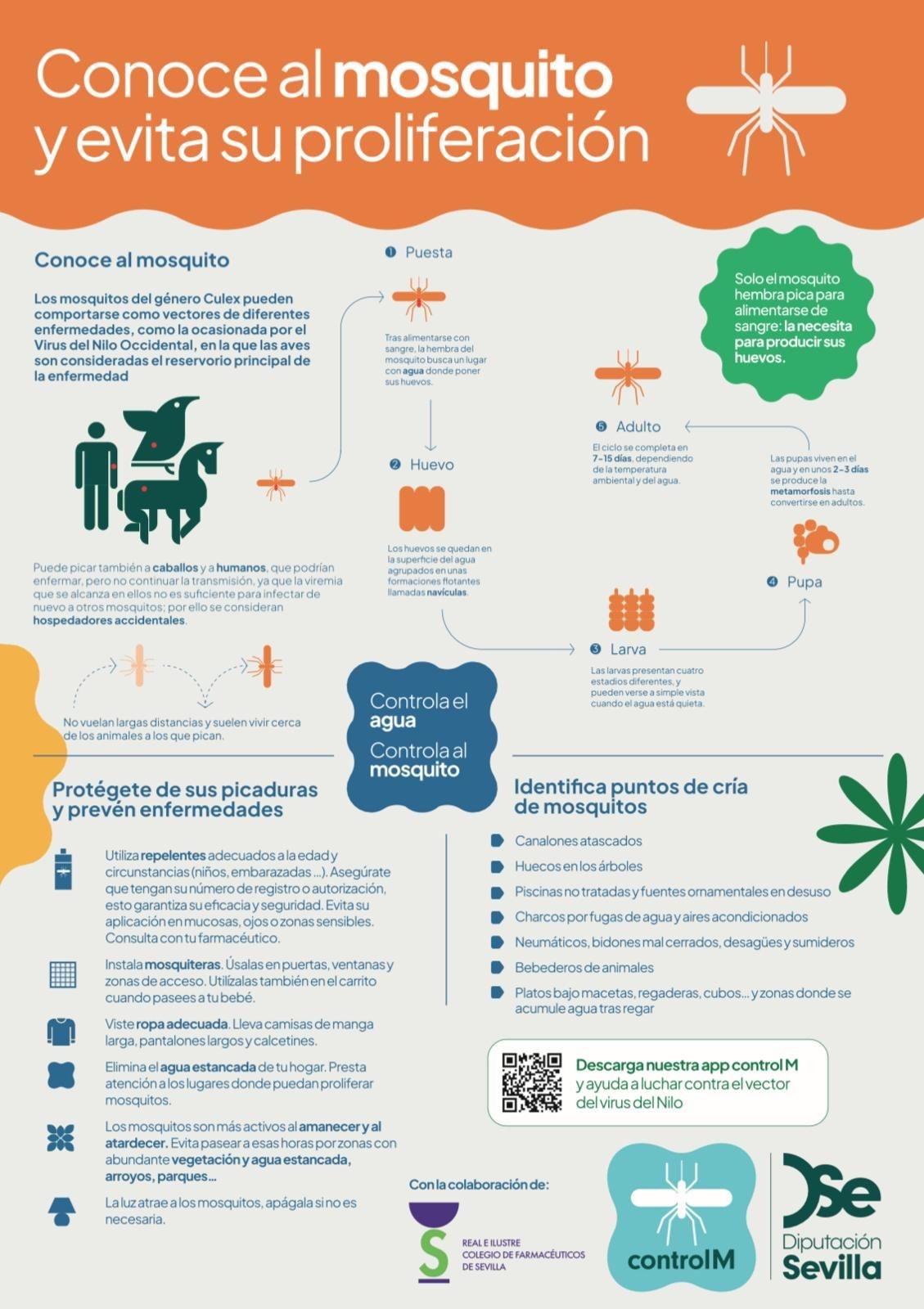 518726873_1173572968133681_9061316429934921903_n