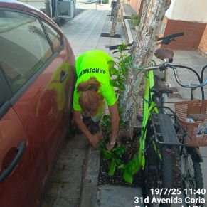 519418543_1175901191234192_4904169996625757914_n