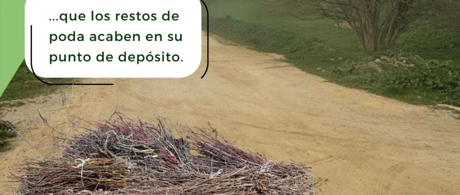 519554288_1172800208210957_594138069050424405_n