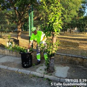 520293373_1175900764567568_5641665945441705402_n