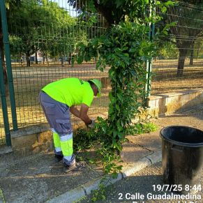 520411596_1175900901234221_5715960738754171091_n