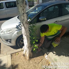 520862248_1175900991234212_6181012499086906707_n