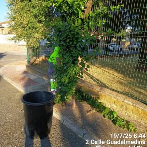 521014084_1175900861234225_8515879772707333559_n