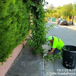 522962860_1175900824567562_6526070763539132267_n