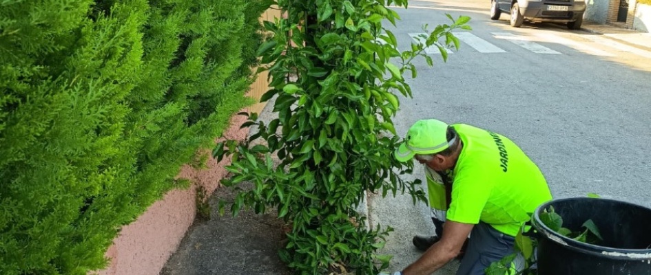 522962860_1175900824567562_6526070763539132267_n