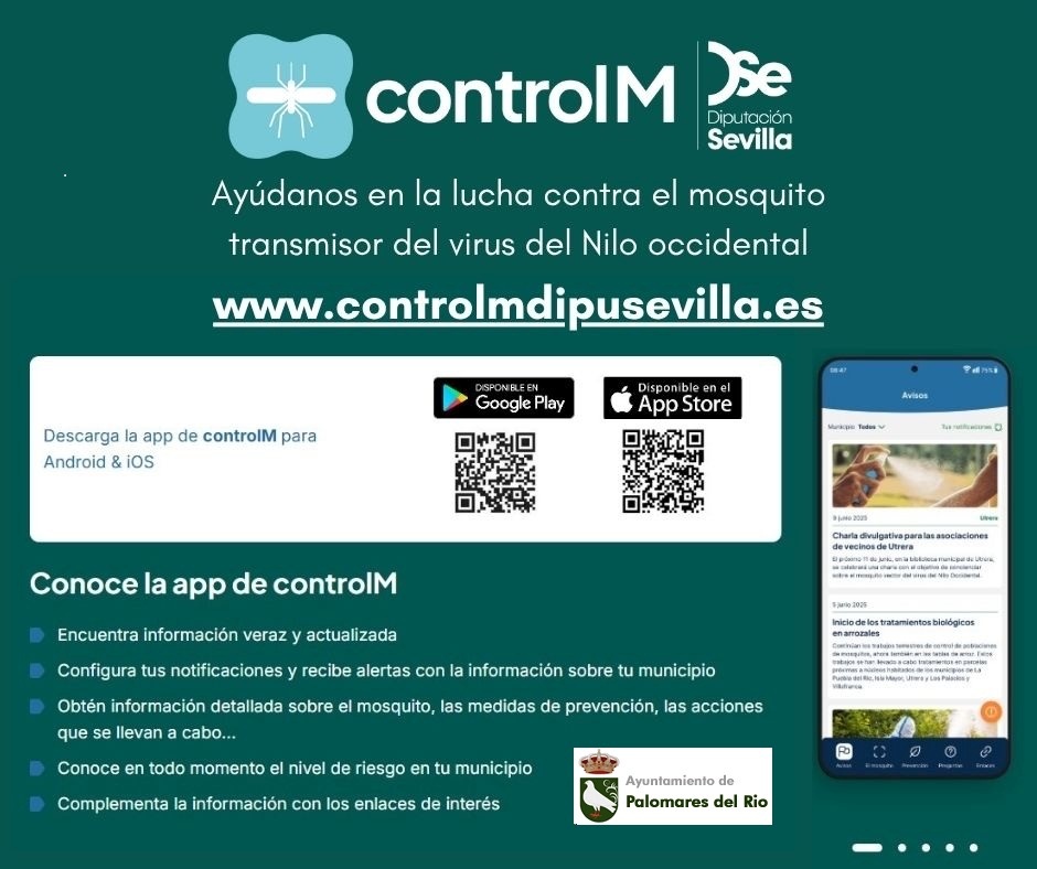 526443234_1185189270305384_7488124145799924021_n