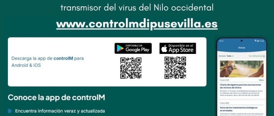 526443234_1185189270305384_7488124145799924021_n