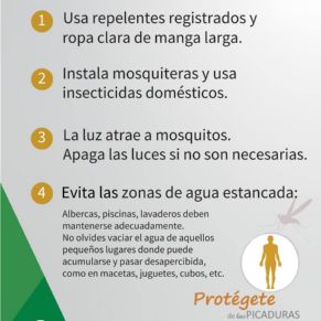 531762397_1193861146104863_323956998736823159_n