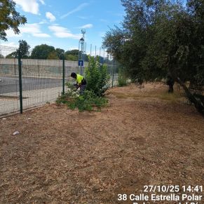 571371879_1268114815346162_2730603846551257684_n