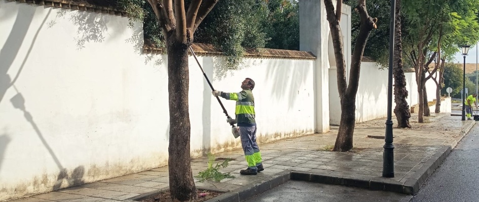 573625934_1268114572012853_7371466091166746238_n