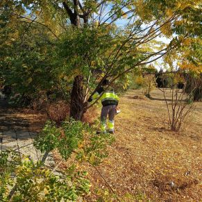 574401083_1268114692012841_626190846556765457_n