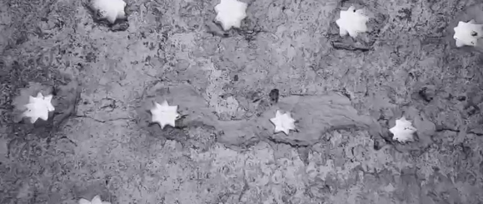 Vive la II Ruta de la Tapa Mozárabe en Palomares del Río