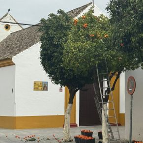 637893157_1360291736128469_7635739806949749758_n