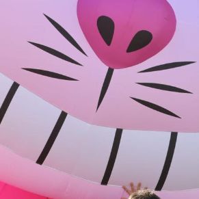 651290630_1383082827182693_1696382236622217187_n