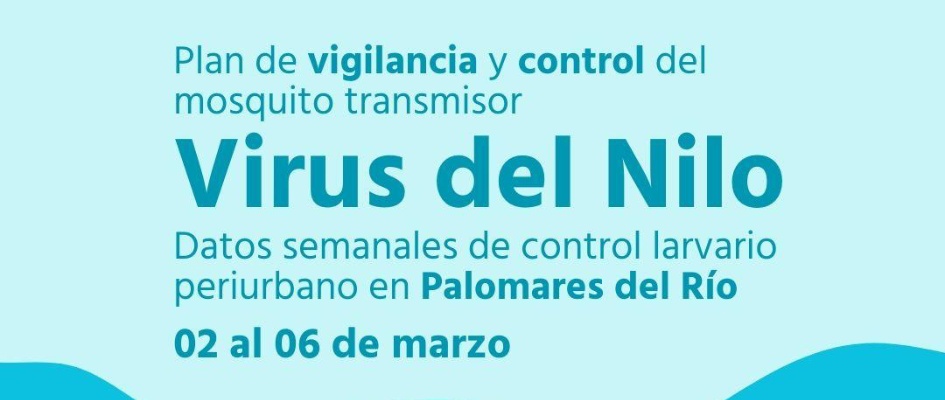 654824130_1390098513147791_6488075849443377499_n_