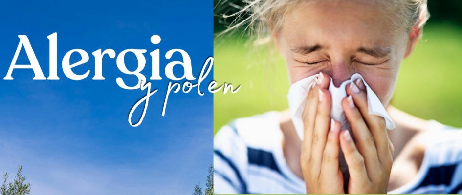 678383387_1417339127090396_2294289348499224643_n_